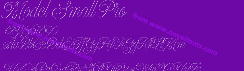 Model Small ProPreview Model Small ProPreview