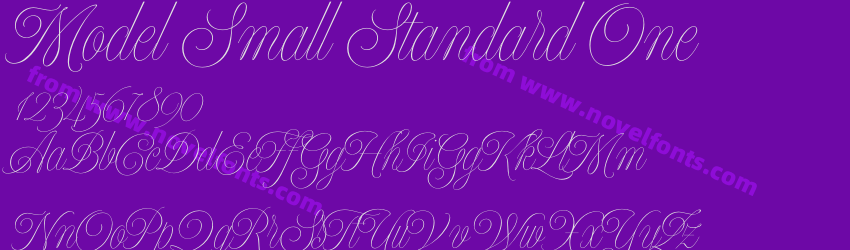 Model Small Standard OnePreview Model Small Standard OnePreview
