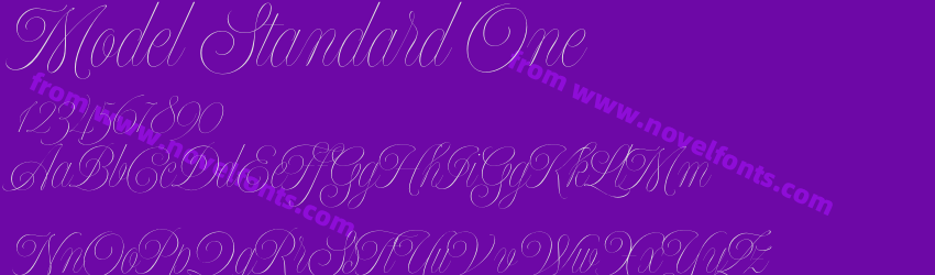 Model Standard OnePreview Model Standard OnePreview