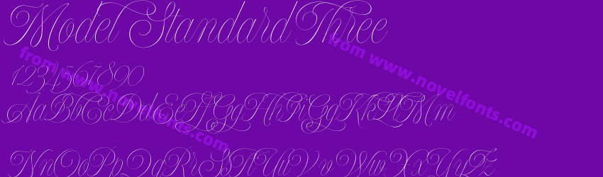 Model Standard ThreePreview Model Standard ThreePreview