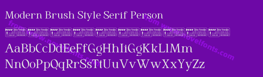 Modern Brush Style Serif PersonPreview