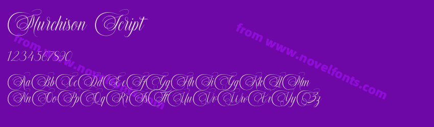 Murchison ScriptPreview Murchison ScriptPreview