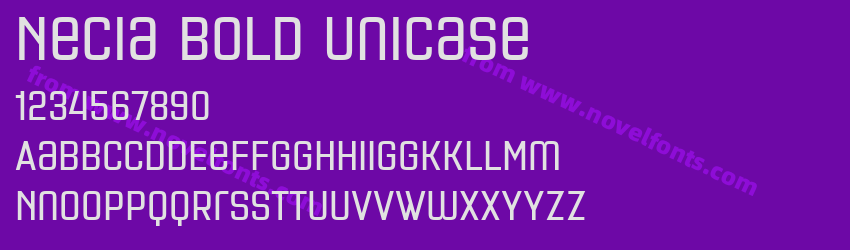 Necia Bold UnicasePreview Necia Bold UnicasePreview