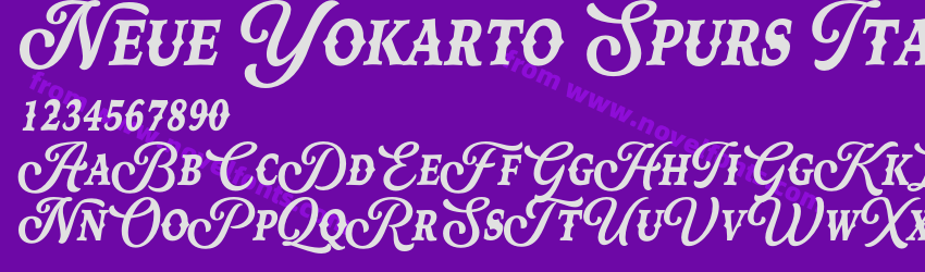 Neue Yokarto Spurs ItalicPreview