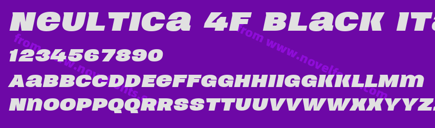 Neultica 4F Black ItalicPreview Neultica 4F Black ItalicPreview
