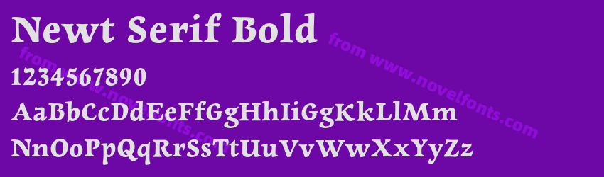 Newt Serif BoldPreview Newt Serif BoldPreview