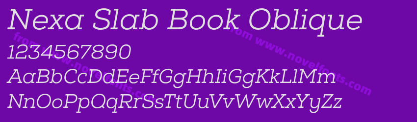 Nexa Slab Book ObliquePreview Nexa Slab Book ObliquePreview