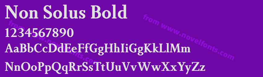 Non Solus BoldPreview Non Solus BoldPreview