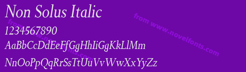 Non Solus ItalicPreview Non Solus ItalicPreview
