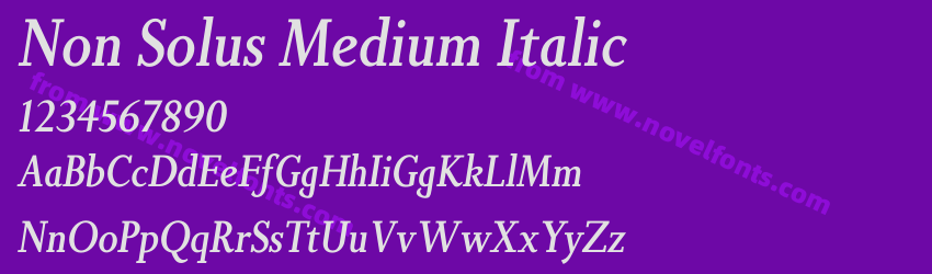 Non Solus Medium ItalicPreview Non Solus Medium ItalicPreview