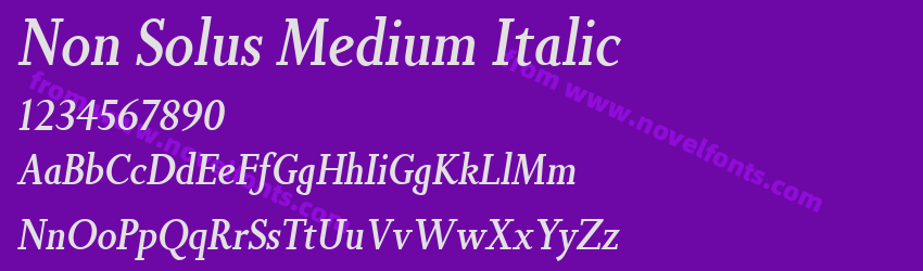 Non Solus Medium ItalicPreview Non Solus Medium ItalicPreview