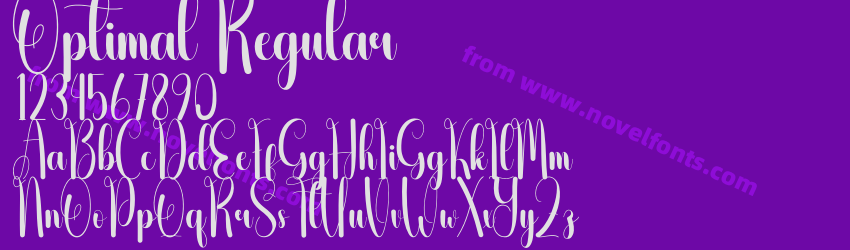 Optimal RegularPreview Optimal RegularPreview