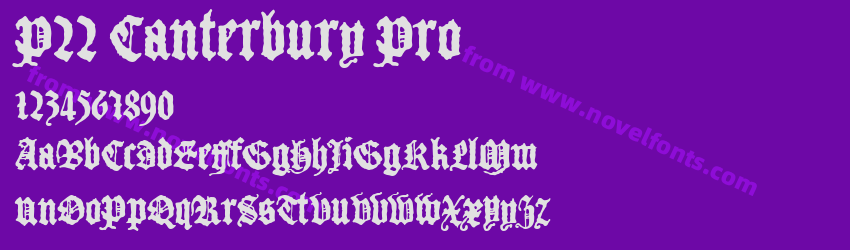 P22 Canterbury ProPreview P22 Canterbury ProPreview
