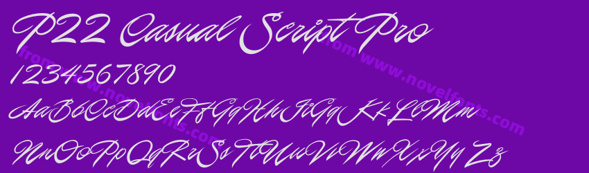 P22 Casual Script ProPreview P22 Casual Script ProPreview