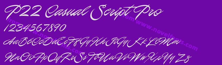 P22 Casual Script ProPreview P22 Casual Script ProPreview