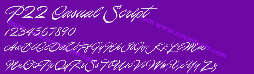 P22 Casual ScriptPreview P22 Casual ScriptPreview