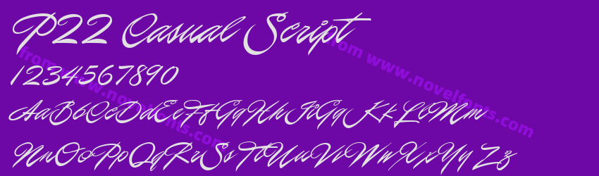 P22 Casual ScriptPreview P22 Casual ScriptPreview