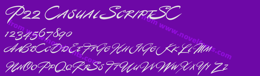 P22 Casual ScriptSCPreview P22 Casual ScriptSCPreview