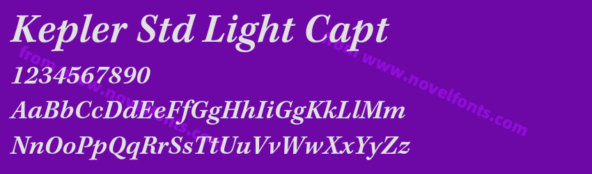 Kepler Std Light CaptPreview