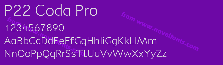 P22 Coda ProPreview P22 Coda ProPreview