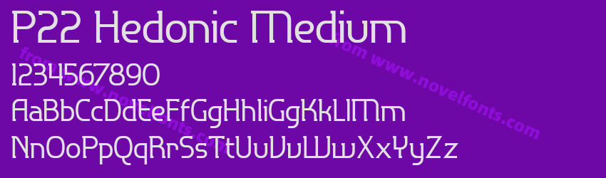P22 Hedonic MediumPreview P22 Hedonic MediumPreview