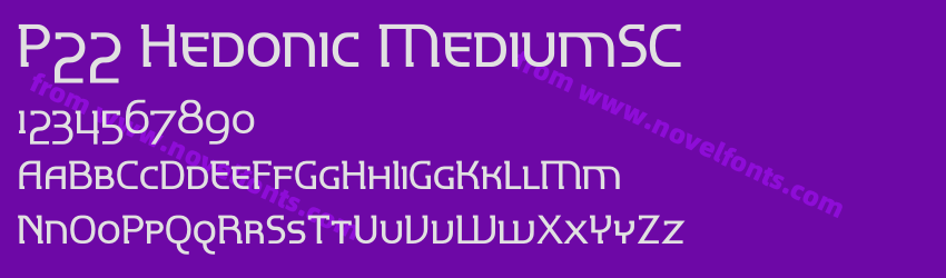 P22 Hedonic MediumSCPreview P22 Hedonic MediumSCPreview