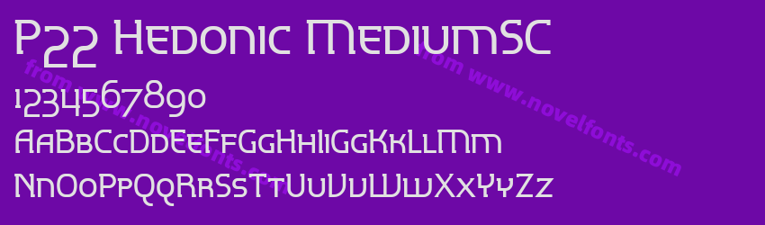 P22 Hedonic MediumSCPreview P22 Hedonic MediumSCPreview