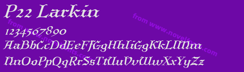 P22 LarkinPreview P22 LarkinPreview