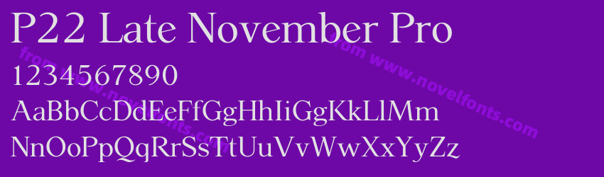 P22 Late November ProPreview P22 Late November ProPreview