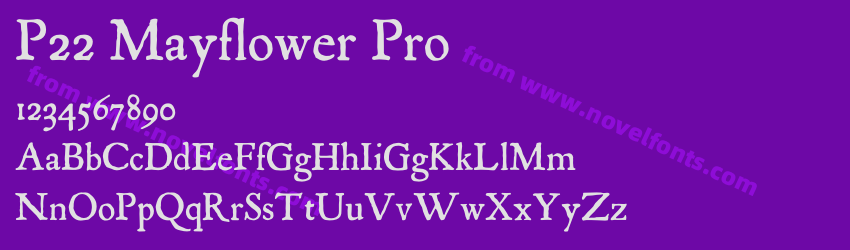 P22 Mayflower ProPreview P22 Mayflower ProPreview