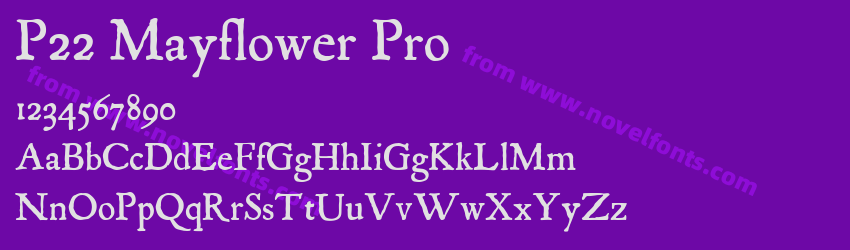 P22 Mayflower ProPreview P22 Mayflower ProPreview