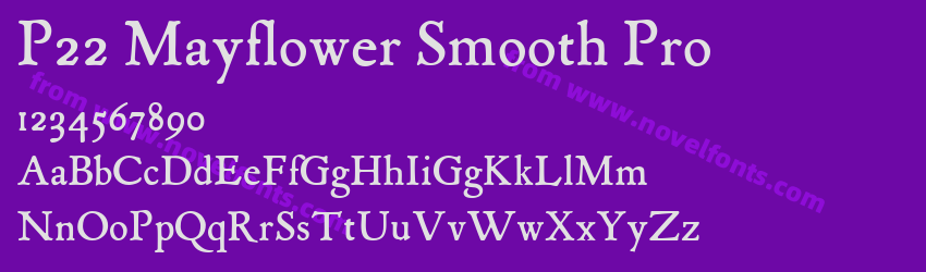 P22 Mayflower Smooth ProPreview P22 Mayflower Smooth ProPreview