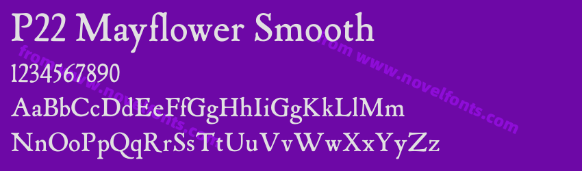 P22 Mayflower SmoothPreview P22 Mayflower SmoothPreview