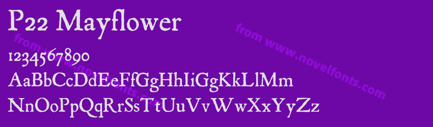 P22 MayflowerPreview P22 MayflowerPreview