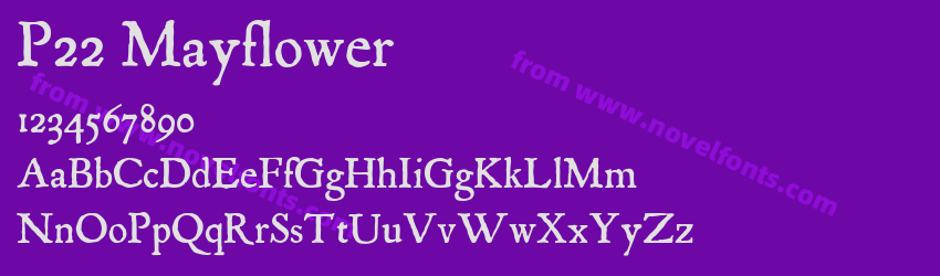 P22 MayflowerPreview P22 MayflowerPreview