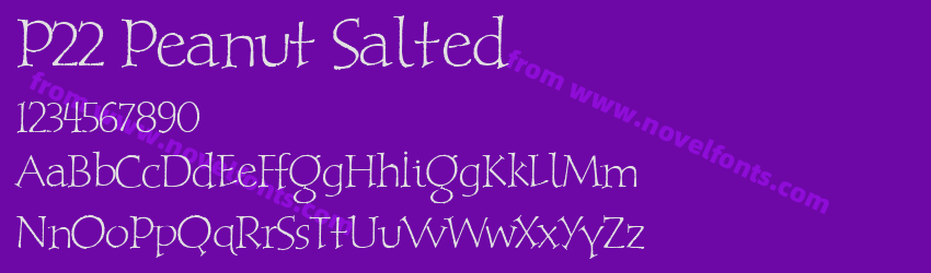 P22 Peanut SaltedPreview P22 Peanut SaltedPreview