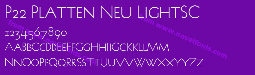 P22 Platten Neu LightSCPreview P22 Platten Neu LightSCPreview
