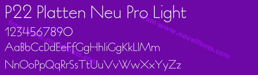 P22 Platten Neu Pro LightPreview P22 Platten Neu Pro LightPreview