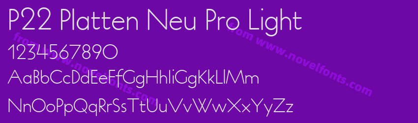P22 Platten Neu Pro LightPreview P22 Platten Neu Pro LightPreview