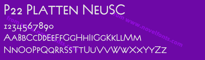 P22 Platten NeuSCPreview P22 Platten NeuSCPreview