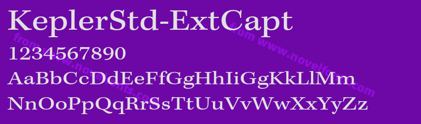 KeplerStd-ExtCaptPreview