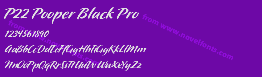 P22 Pooper Black ProPreview P22 Pooper Black ProPreview