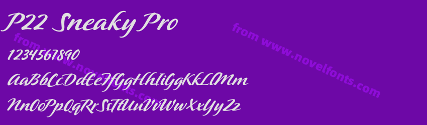 P22 Sneaky ProPreview P22 Sneaky ProPreview