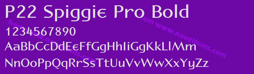 P22 Spiggie Pro BoldPreview P22 Spiggie Pro BoldPreview