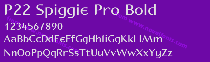 P22 Spiggie Pro BoldPreview P22 Spiggie Pro BoldPreview