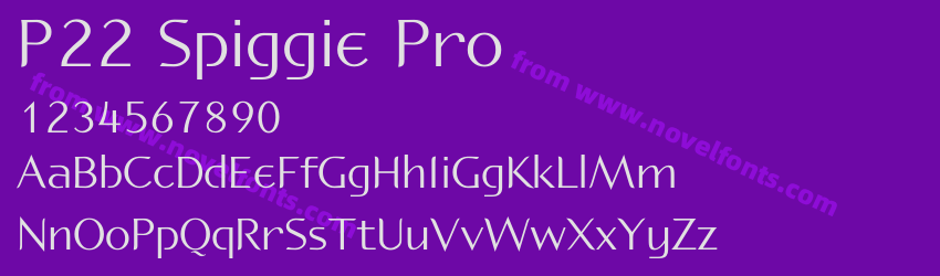 P22 Spiggie ProPreview P22 Spiggie ProPreview