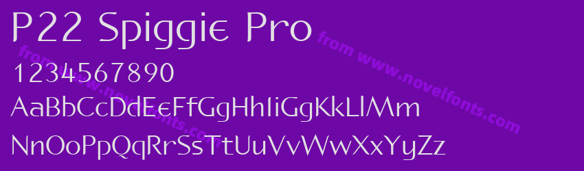 P22 Spiggie ProPreview P22 Spiggie ProPreview