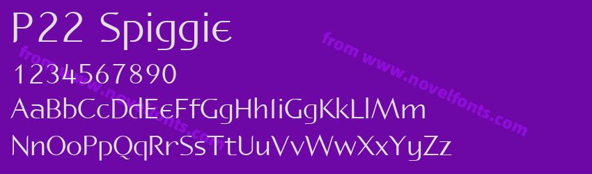 P22 SpiggiePreview P22 SpiggiePreview