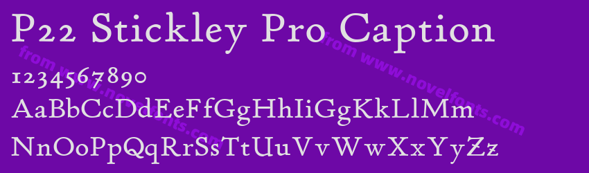 P22 Stickley Pro CaptionPreview P22 Stickley Pro CaptionPreview