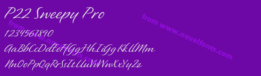 P22 Sweepy ProPreview P22 Sweepy ProPreview
